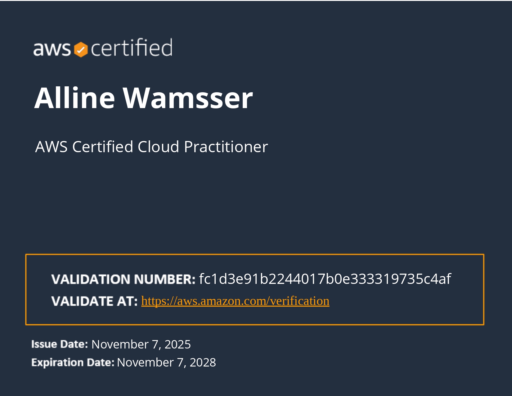 AWS Solutions Architect